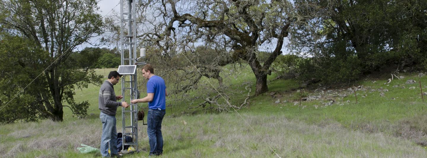 A student and professor work on a monitoring tower in the field with oak and other trees in the background