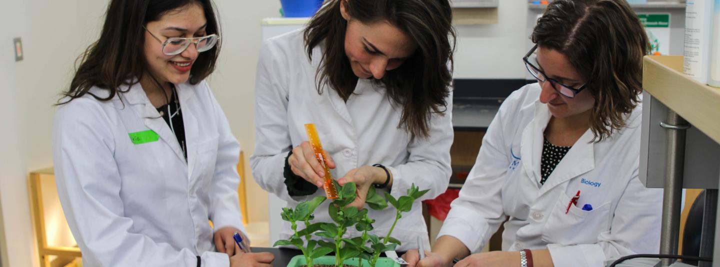 Biology professor and two students measuring plant growth and taking notes in a lab